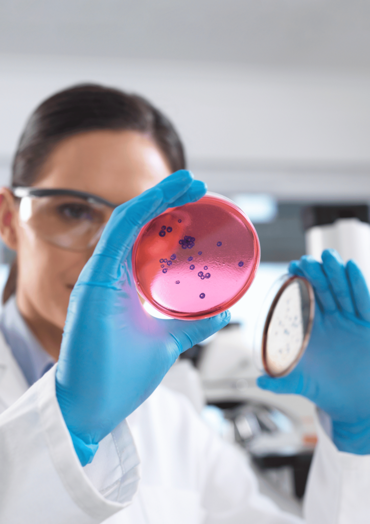 microbiologische inspectie